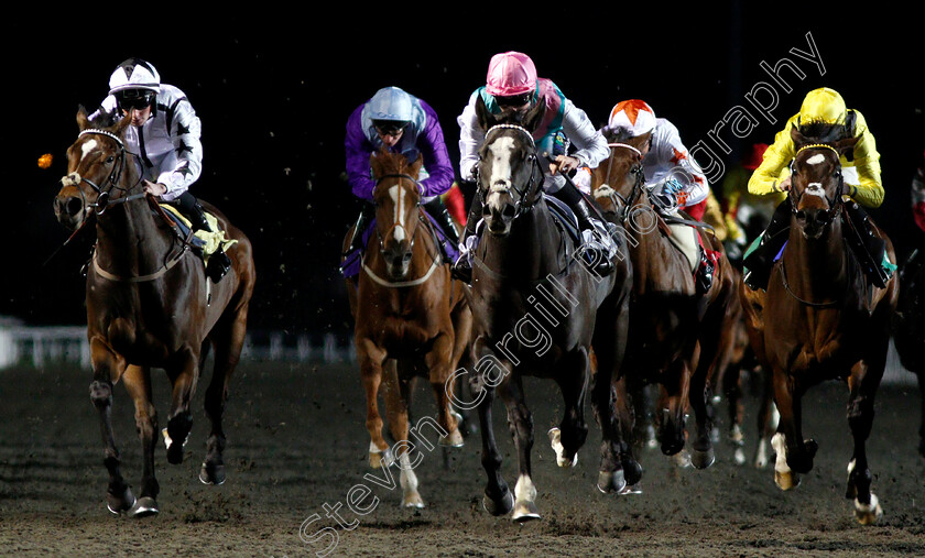 Set-Piece-0005 
 SET PIECE (centre, Jason Watson) beats CREATIONIST (left) and ELAMIRR (right) in The 32Red Casino British Stallion Studs EBF Novice Stakes Div1
Kempton 12 Dec 2018 - Pic Steven Cargill / Racingfotos.com