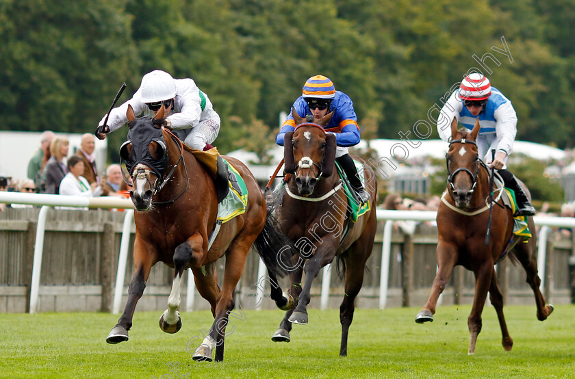 Fairbanks-0002 
 FAIRBANKS (Oisin Murphy) beats ONEFORTHEGUTTER (centre) in The bet365 Trophy
Newmarket 12 Jul 2024 - pic Steven Cargill / Racingfotos.com