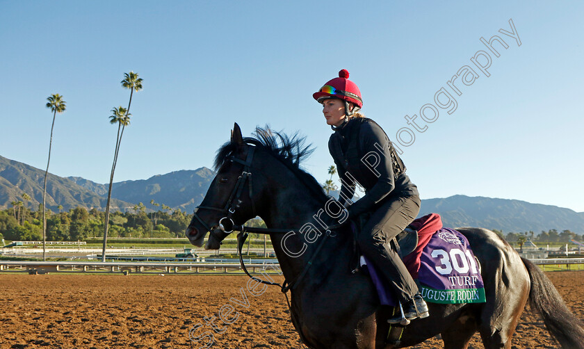 Auguste-Rodin-0004 
 AUGUSTE RODIN training for The Breeders' Cup Turf 
Santa Anita USA, 31 October 2023 - Pic Steven Cargill / Racingfotos.com