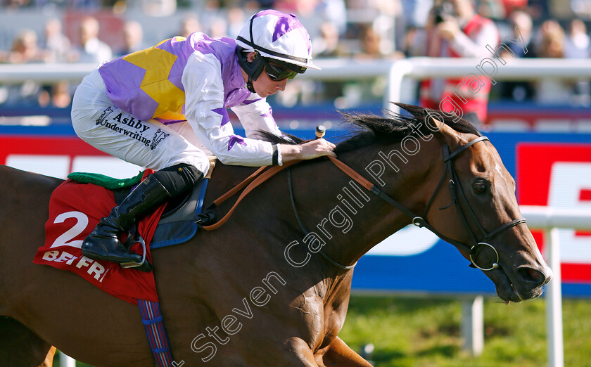 Kinross-0001 
 KINROSS (Rossa Ryan) wins The Betfred Park Stakes
Doncaster 14 Sep 2024 - Pic Steven Cargill / Racingfotos.com