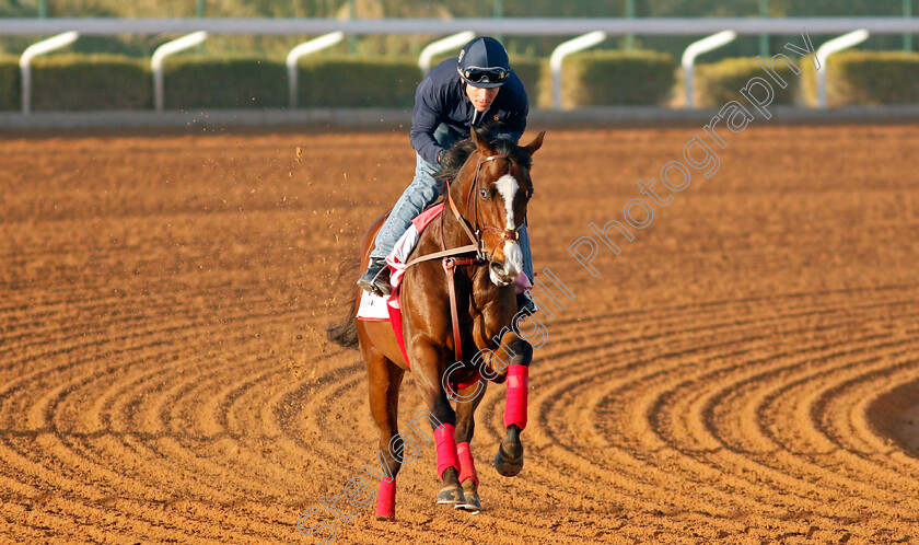 Ginobili-0001 
 GINOBILI training for The Dirt Sprint
King Abdulaziz Racetrack, Riyadh, Saudi Arabia 22 Feb 2022 - Pic Steven Cargill / Racingfotos.com