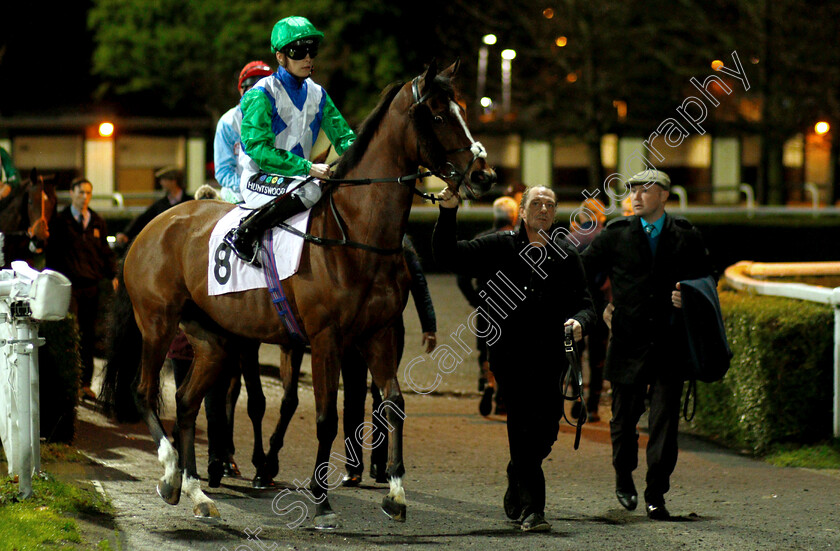 Architecture-0001 
 ARCHITECTURE (Jason Watson)
Kempton 5 Dec 2018 - Pic Steven Cargill / Racingfotos.com