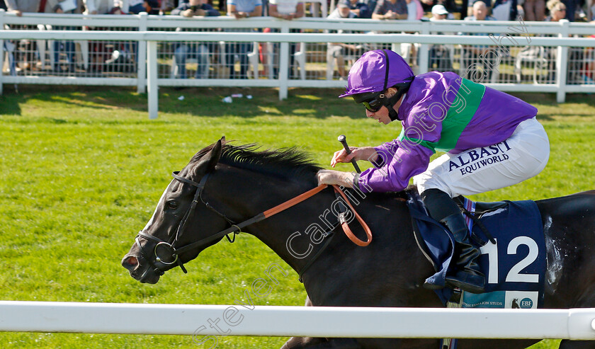 Ville-De-Grace-0008 
 VILLE DE GRACE (Ryan Moore) wins The EBF Stallions John Musker Fillies Stakes
Yarmouth 15 Sep 2021 - Pic Steven Cargill / Racingfotos.com