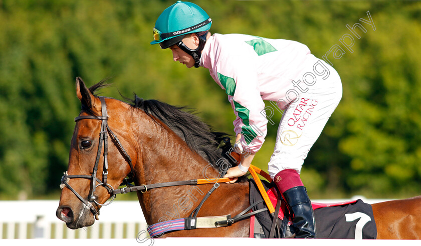 Praying-Mantis 
 PRAYING MANTIS (Cieren Fallon)
Chelmsford 7 Jun 2022 - Pic Steven Cargill / Racingfotos.com