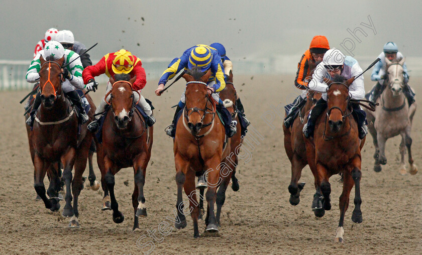 Supercontango-0003 
 SUPERCONTANGO (2nd right, James Sullivan) beats MAHALE (right) ZEN DANCER (2nd left) and RAINBOW'S PONY (left) in The Play Ladbrokes 5-A-Side On Football Maiden Stakes
Lingfield 27 Jan 2021 - Pic Steven Cargill / Racingfotos.com