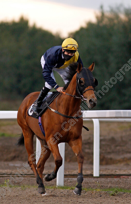 Pentreath-0001 
 PENTREATH (Luke Morris)
Chelmsford 8 Oct 2020 - Pic Steven Cargill / Racingfotos.com