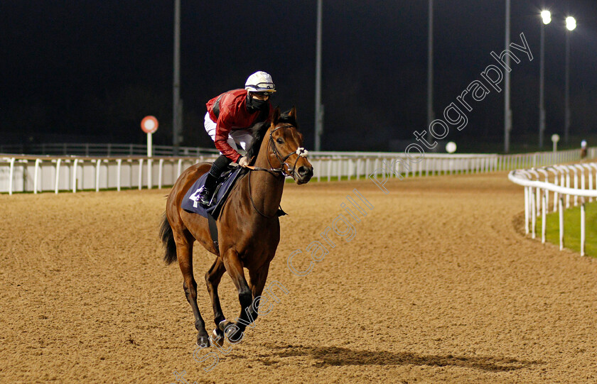 Good-Humor-0001 
 GOOD HUMOR (Richard Kingscote)
Wolverhampton 24 Nov 2020 - Pic Steven Cargill / Racingfotos.com