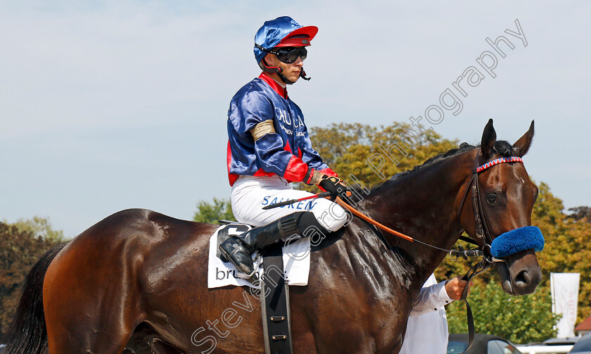 Penalty-0009 
 PENALTY (Thore Hammer-Hansen) winner of The 91. Brunner-Oettingen Rennen
Baden Baden 1 Sep 2024 - Pic Steven Cargill / Racingfotos.com