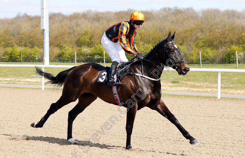 Hendrix-0001 
 HENDRIX (Charlie Bennett)
Chelmsford 11 Apr 2019 - Pic Steven Cargill / Racingfotos.com