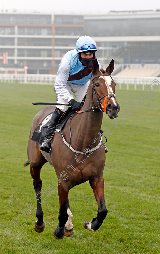 Politesse-0001 
 POLITESSE (Robbie Power)
Newbury 28 Nov 2020 - Pic Steven Cargill / Racingfotos.com