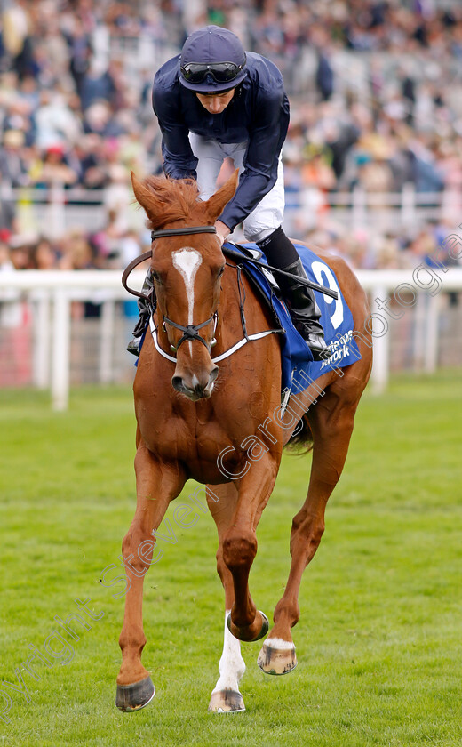 Savethelastdance-0001 
 SAVETHELASTDANCE (Ryan Moore)
York 24 Aug 2023 - Pic Steven Cargill / Racingfotos.com