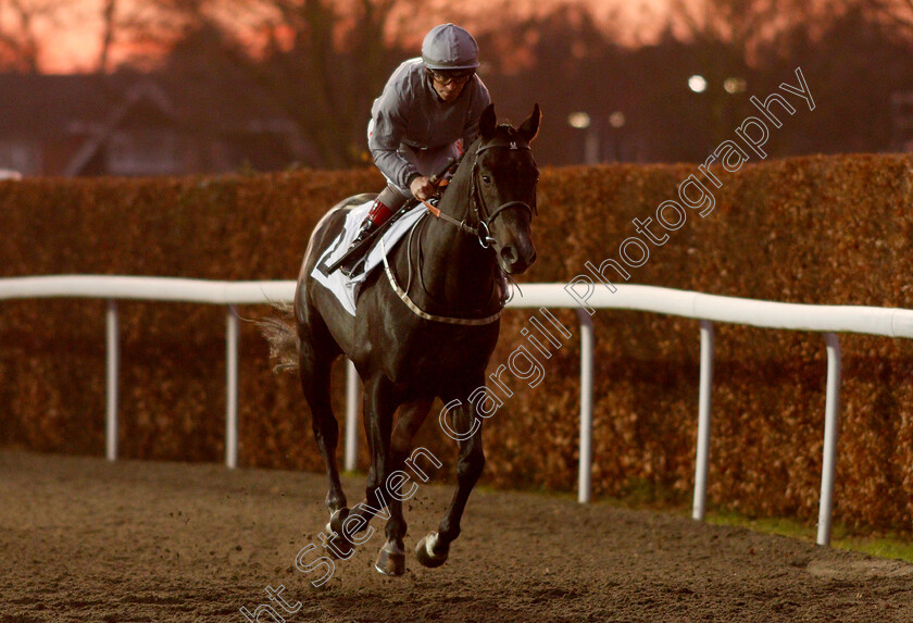 Deep-Intrigue-0001 
 DEEP INTRIGUE (Franny Norton)
Kempton 4 Jan 2019 - Pic Steven Cargill / Racingfotos.com