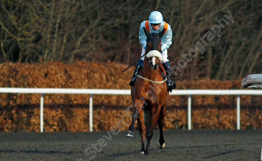 Mordred-0001 
 MORDRED (George Rooke)
Kempton 2 Mar 2022 - Pic Steven Cargill / Racingfotos.com