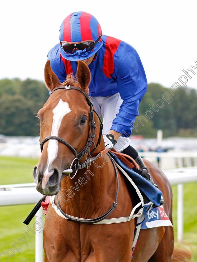 Nayef-Road-0001 
 NAYEF ROAD (Silvestre De Sousa)
York 21 Aug 2019 - Pic Steven Cargill / Racingfotos.com