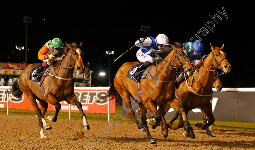 Humbert-0001 
 HUMBERT (centre, Josephine Gordon) beats COILLTE CAILIN (left) and POET'S SOCIETY (right) in The sunbets.co.uk Handicap Wolverhampton 15 Jan 2018 - Pic Steven Cargill / Racingfotos.com