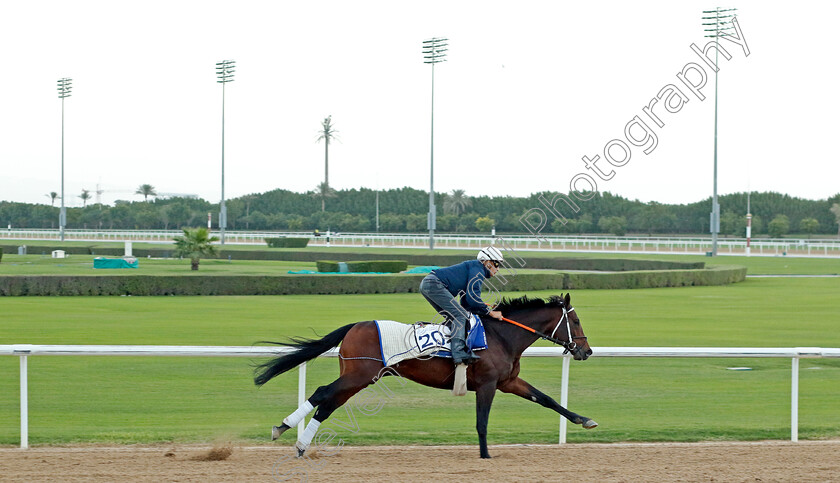 Hans-Andersen-0001 
 HANS ANDERSEN training at the Dubai Racing Carnival 
Meydan 2 Jan 2025 - Pic Steven Cargill / Racingfotos.com