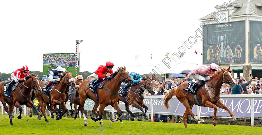 Live-In-The-Dream-0006 
 LIVE IN THE DREAM (Sean Kirrane) beats HIGHFIELD PRINCESS (left) in The Coolmore Nunthorpe Stakes
York 25 Aug 2023 - Pic Steven Cargill / Racingfotos.com