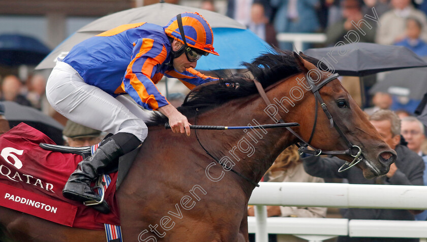 Paddington-0003 
 PADDINGTON (Ryan Moore) wins The Qatar Sussex Stakes
Goodwood 2 Aug 2023 - Pic Steven Cargill / Racingfotos.com