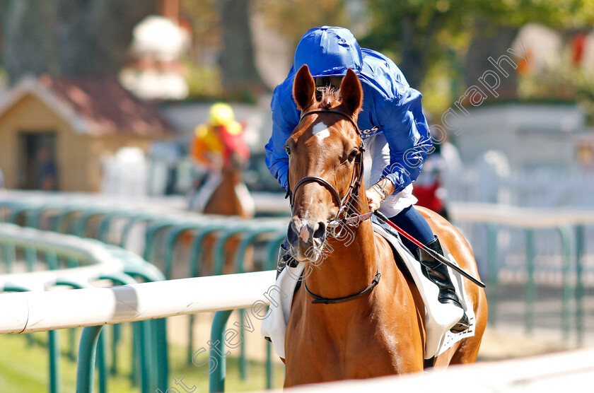 Calistoga-0001 
 CALISTOGA (Mickael Barzalona)
Deauville 6 Aug 2022 - Pic Steven Cargill / Racingfotos.com