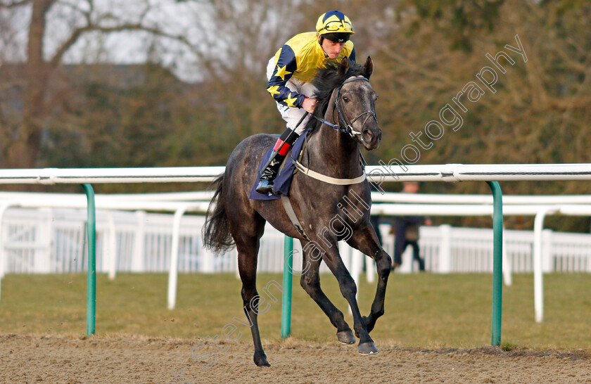 Technological-0001 
 TECHNOLOGICAL (Adam Kirby) Lingfield 23 Feb 2018 - Pic Steven Cargill / Racingfotos.com