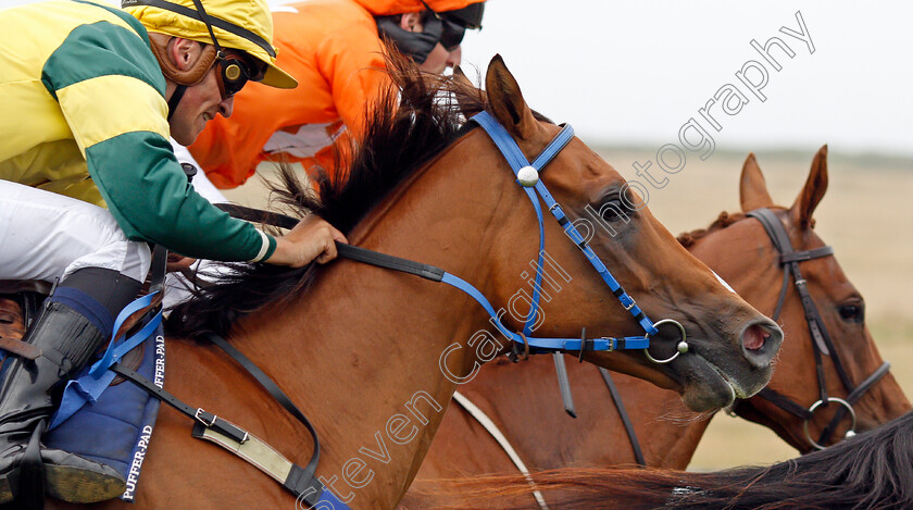 Ice-Royal-0001 
 ICE ROYAL (Freddy Tett)
Les Landes Jersey 26 Aug 2019 - Pic Steven Cargill / Racingfotos.com