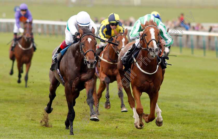 The-Olympian-0004 
 THE OLYMPIAN (right, Martin Harley) beats TRAVEL ON (left) in The Aptus Investment Fund Maiden Stakes
Newmarket 24 Oct 2018 - Pic Steven Cargill / Racingfotos.com