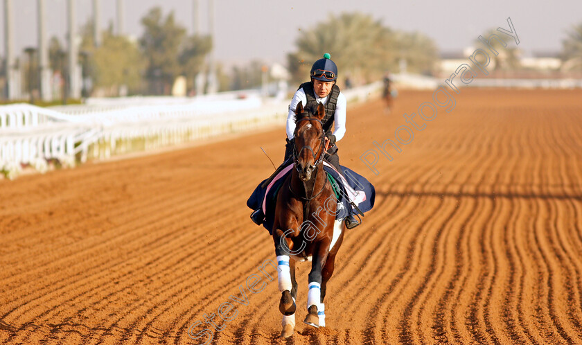 Good-Effort-0001 
 GOOD EFFORT training for the Dirt Sprint
King Abdulaziz Racetrack, Riyadh, Saudi Arabia 23 Feb 2022 - Pic Steven Cargill / Racingfotos.com