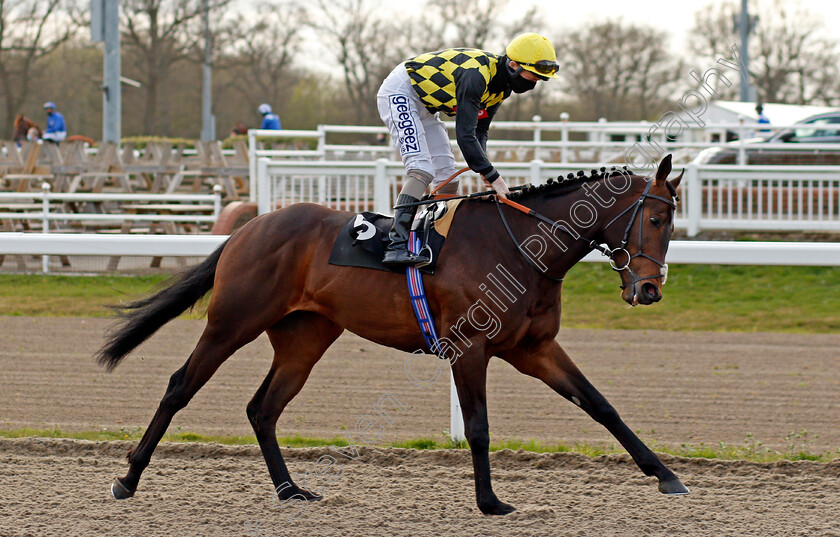 Oo-De-Lally-0001 
 OO DE LALLY (David Probert)
Chelmsford 1 Apr 2021 - Pic Steven Cargill / Racingfotos.com