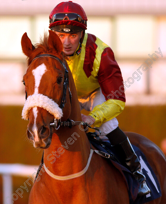 Laulloir-0001 
 LAULLOIR (Shane Gray)
Wolverhampton 26 Feb 2019 - Pic Steven Cargill / Racingfotos.com