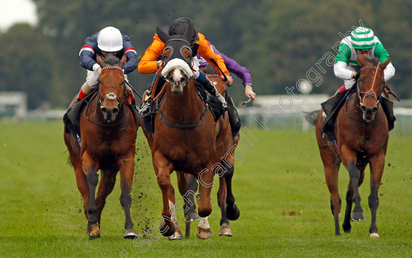 Raasel-0002 
 RAASEL (William Buick) wins The Persimmon Homes Handicap 
Nottingham 13 Oct 2021 - Pic Steven Cargill / Racingfotos.com