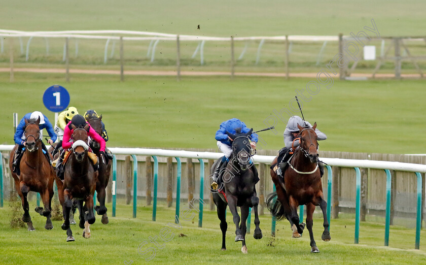 Point-Sur-0006 
 POINT SUR (2nd right, William Buick) beats NATIVE WARRIOR (right) in The Join Racing TV Now Novice Stakes
Newmarket 25 Oct 2023 - Pic Steven Cargill / Racingfotos.com