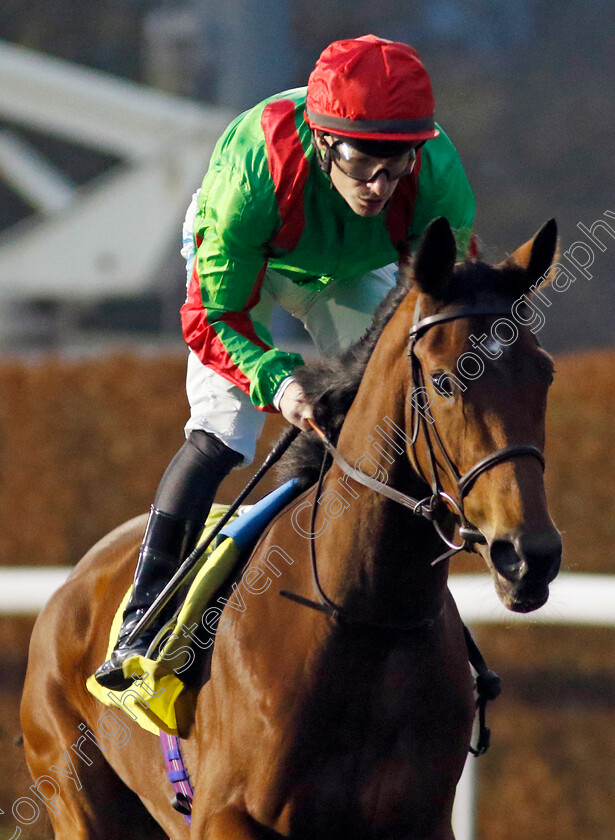 Azaniya-0001 
 AZANIYA (Richard Kingscote)
Kempton 4 Dec 2024 - Pic Steven Cargill / Racingfotos.com