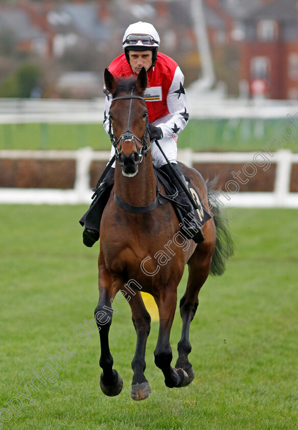 Clararose-0001 
 CLARAROSE (Harry Skelton)
Warwick 22 Nov 2023 - Pic Steven Cargill / Racingfotos.com