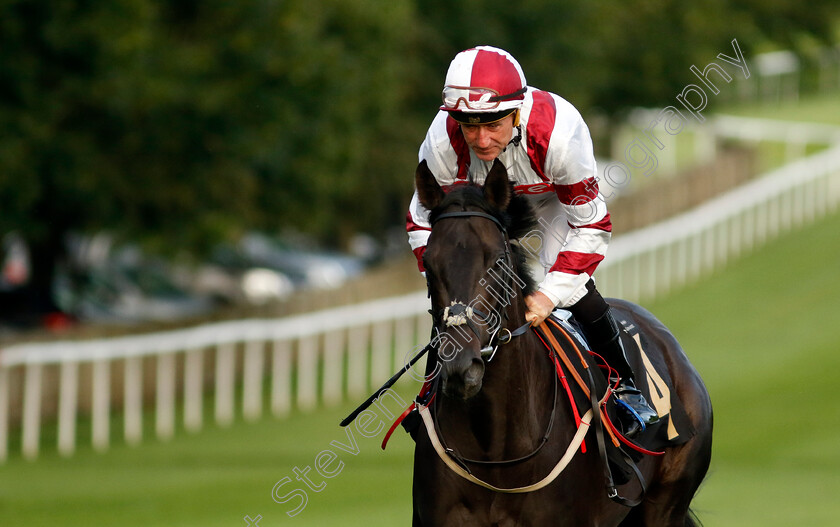 Miss-Billie-0001 
 MISS BILLIE (John Egan)
Newmarket 4 Aug 2023 - Pic Steven Cargill / Racingfotos.com