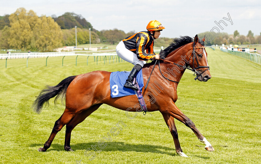 Cohen-0001 
 COHEN (Georgia Cox) Nottingham 1 May 2018 - Pic Steven Cargill / Racingfotos.com