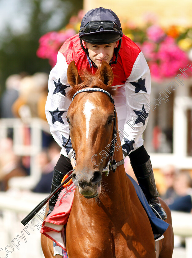 Proschema-0001 
 PROSCHEMA (Richard Kingscote)
York 25 Aug 2018 - Pic Steven Cargill / Racingfotos.com