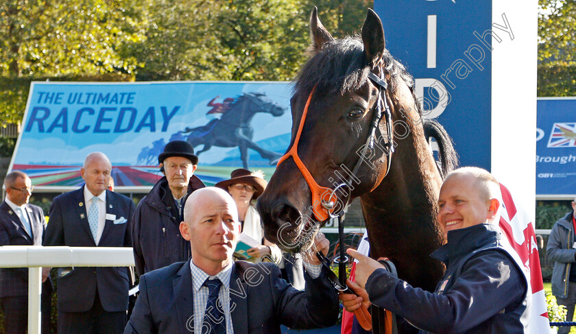 King-Of-Change-0013 
 KING OF CHANGE after The Queen Elizabeth II Stakes
Ascot 19 Oct 2019 - Pic Steven Cargill / Racingfotos.com