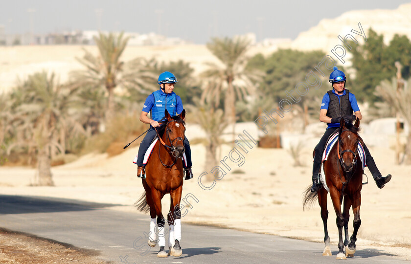 Dubai-Future-and-Zakouski-0004 
 DUBAI FUTURE and ZAKOUSKI exercising in preparation for Friday's Bahrain International Trophy
Sakhir Racecourse, Bahrain 17 Nov 2021 - Pic Steven Cargill / Racingfotos.com