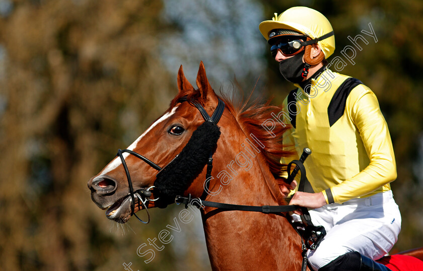 Zamaani-0002 
 ZAMAANI (James Doyle)
Lingfield 2 Apr 2021 - Pic Steven Cargill / Racingfotos.com