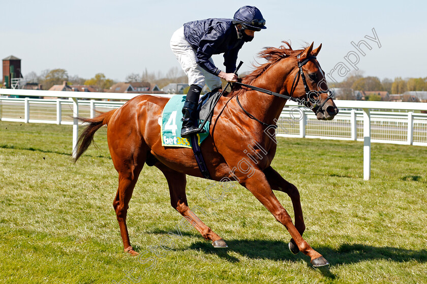 Rifleman-0001 
 RIFLEMAN (Ryan Moore)
Sandown 23 Apr 2021 - Pic Steven Cargill / Racingfotos.com