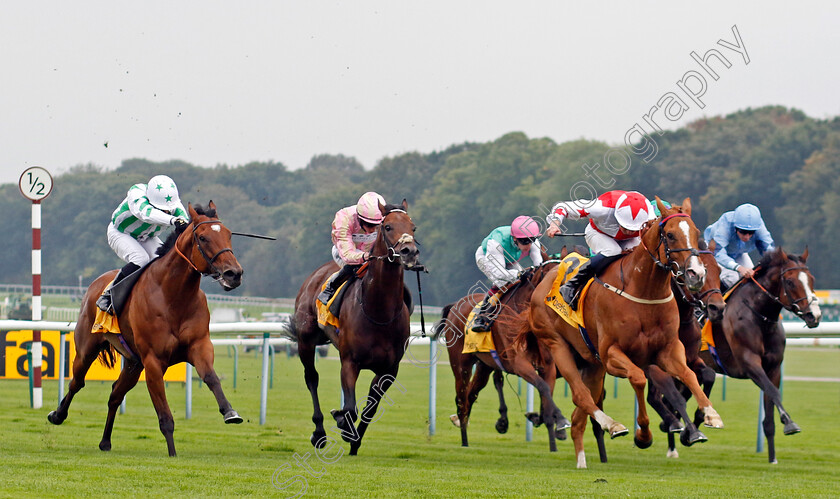 Holloway-Boy-0004 
 HOLLOWAY BOY (William Buick) wins The Betfair Superior Mile Stakes
Haydock 7 Sep 2024 - Pic Steven Cargill / Racingfotos.com