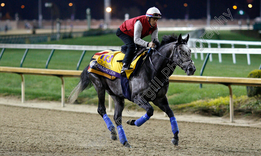 Roaring-Lion-0003 
 ROARING LION exercising ahead of The Breeders' Cup Classic
Churchill Downs USA 30 Oct 2018 - Pic Steven Cargill / Racingfotos.com