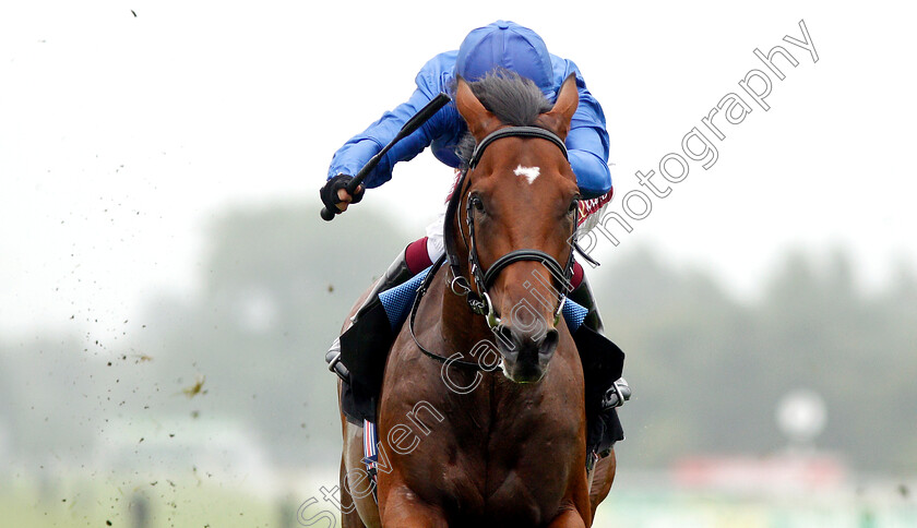 Encipher-0006 
 ENCIPHER (Oisin Murphy) wins The Spinal Injuries Association EBF Novice Stakes 
Newbury 19 Jul 2019 - Pic Steven Cargill / Racingfotos.com