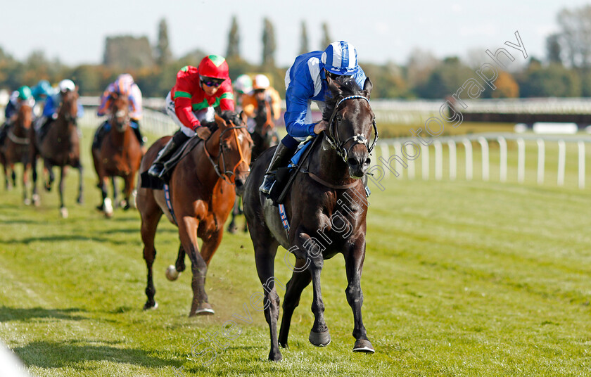 Emaraaty-0008Div0002 
 EMARAATY (Jim Crowley) wins The Wedgewood Estates EBF Novice Stakes Div2 Newbury 23 Sep 2017 - Pic Steven Cargill / Racingfotos.com