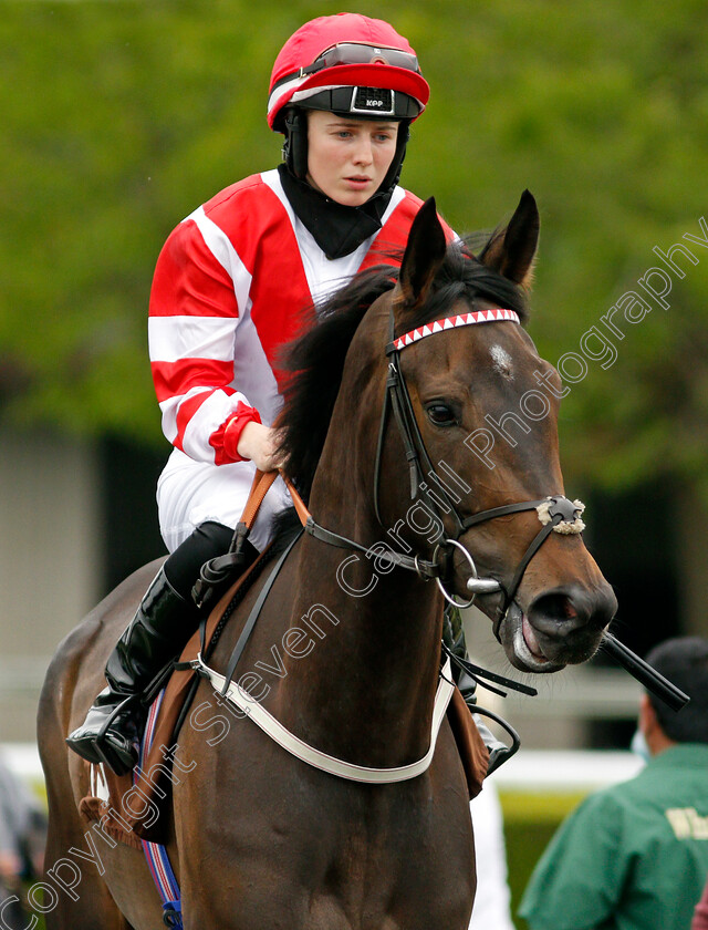 Nadein-0001 
 NADEIN (Saffie Osborne)
Kempton 2 Jun 2021 - Pic Steven Cargill / Racingfotos.com