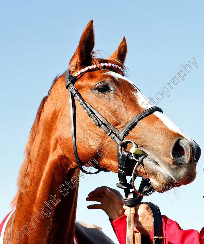 Frankellina-0007 
 FRANKELLINA after The British Stallion Studs EBF Fillies Novice Stakes Div1
Yarmouth 23 Oct 2018 - Pic Steven Cargill / Racingfotos.com