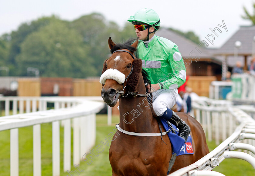 Admiral-D-0001 
 ADMIRAL D (Oisin Orr)
York 17 Jun 2023 - Pic Steven Cargill / Racingfotos.com