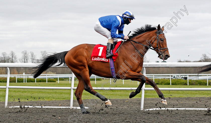 Faylaq-0002 
 FAYLAQ (Richard Kingscote)
Kempton 27 Mar 2021 - Pic Steven Cargill / Racingfotos.com