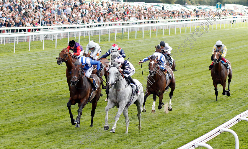 Lord-Glitters-0001 
 LORD GLITTERS (right, Daniel Tudhope) beats MUSTASHRY (left) in The Sky Bet & Symphony Group Strensall Stakes
York 25 Aug 2018 - Pic Steven Cargill / Racingfotos.com