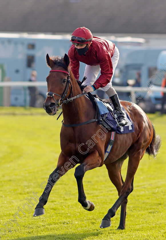 Thunder-Drum-0001 
 THUNDER DRUM (Kieran O'Neill)
Yarmouth 20 Oct 2020 - Pic Steven Cargill / Racingfotos.com